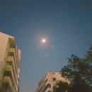 세븐일레븐정서진점 | 홍콩 자유여행 3박 4일 : 1일차 (디즈니랜드)