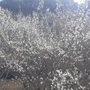 월등도 입구 이미지