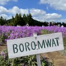 성읍리-19 이미지