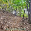 백마산주유소 이미지