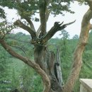 양정1동-10 이미지