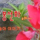 봉선화 이미지