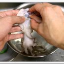 무교동낙지 이미지