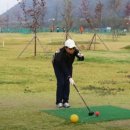 보람파크 이미지