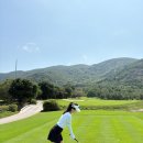 골든골프연습장 | 2개월차 골프 머리올린 후기⛳ 여자 골프웨어 추천 (+나트랑 빈펄CC, 다이아몬드베이CC)