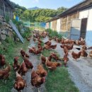 지리산마리농장