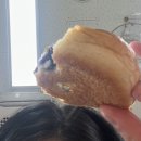 IGOTIT어터