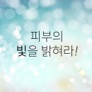 H에스테틱 이미지