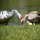 신선낚시터 이미지