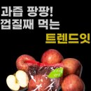 트렌드잇 카페24