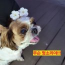 한길종합정비 | 경산 삼남동 임당동 누수탐지, 비용아끼려다 황당한 후기 (실제 사례)