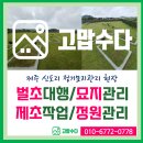 신도리-8 이미지