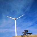 대공산성 등산로 이미지