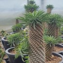 김경애농장 | #강소농5주째 #체험농가방문#과제