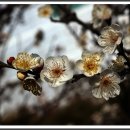 김해세무서 이미지