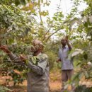 서울온(ON)농부들 이미지