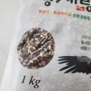 황새가족과 황새알 이미지