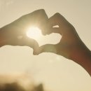 TEAM WILD WOLF 이미지