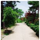 속초영흥펜션