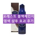 포레스트 블랙체인지 염색 샴푸 청담스타일 샴푸 효과 내돈내산 후기
