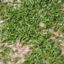 필라테스요가(2부) 이미지