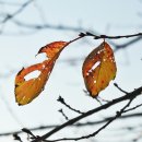 송산공원 이미지