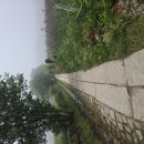 0601 산티아고 순례길 33일차