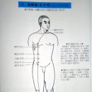대맥 이미지