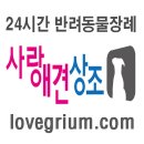 관악-현장-관악-592 | [동작구,영등포구,구로구,금천구,관악구] 강아지 장례 애견 반려동물 화장 반려견 고양이 장례식 애완견...