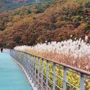 월광수변공원 이미지