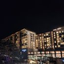 포레스트리솜 이미지