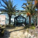 상모리-8 이미지