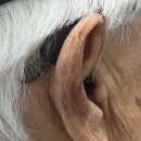 (주)엘마트 의정부점 | 의정부 보청기 여름철 습도에 무방비? 실제 수리 사례로 보는 필수 유지 보수 가이드