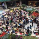 메디칼마켓 이미지