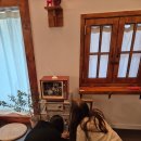 스테이 오무개 | 영월 감성숙소 스테이오무개 숙박후기