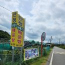 산정논메기매운탕식당 | 대구 &#34;산정 논메기 매운탕&#34;