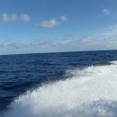 에스엠메드 이미지