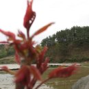 진악산농장 이미지