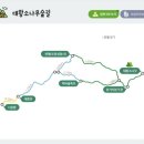 제178회 정기산행 울진 금강숲길 4코스 이미지