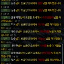 이둔7서버 보라연합 하트길드 개쳐맞는상황 이미지