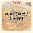고양 이케아 근처 성사동 맛집 탕수육,짬뽕 가성비 좋은 소가네짬뽕