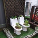 옥림농장 | [장승포맛집] 맑은농장, 야외 바베큐 느낌으로 존맛탱 돼지갈비를 즐겼던 장승포고기맛집