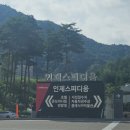 종합운동장역 6번출구(뒤) | [1편] F1 영화 보고 떠난 인제스피디움 ‘2025 오네 슈퍼레이스’ 직관 (셔틀버스 이용법 총정리)