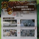 주란농장1 | [제품] 불로초 버섯을 집에서 키울수있다고? "녹각영지버섯키우기키트"_드림버섯농장