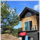 리즈밸리 네이버블로그