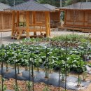 황토방쉼터 이미지