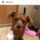 킹콩샤워 이미지