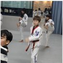 성남태권도장 이미지