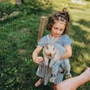 애완용 토끼 - 아르젠테 브룬 (실버 브라운) (Argente Brun) 이미지