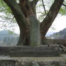 내서읍523 이미지